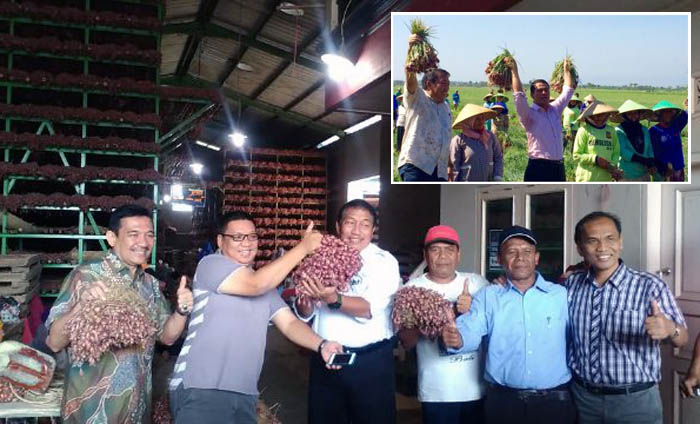 Pemerintah Akan Kontrol Margin pada Rantai Pasok Bawang Merah